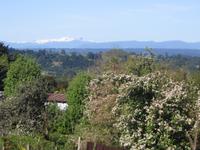 Fahrt nach Puerto Varas