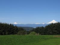 Fahrt nach Puerto Varas