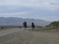 Fahrt nach Puerto Natales
