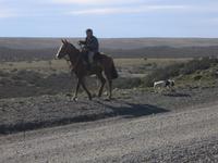 Fahrt nach Puerto Natales