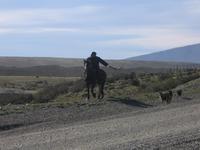 Fahrt nach Puerto Natales