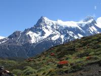 Torre del Paine