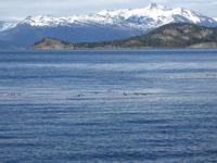 Feuerland Nationalpark