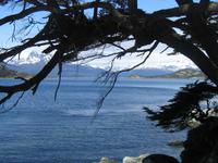 Feuerland Nationalpark