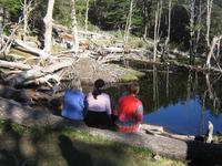 warten auf die Biber