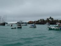 Puerto Ayora - Porto