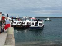 Santa Cruz - Galápagos Insel