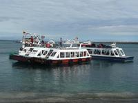 Santa Cruz - Galápagos Insel