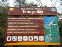 Tortuga Bay