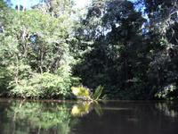 Cuyabeno Nationalpark