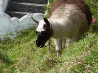 bei der Lagune San Pablo