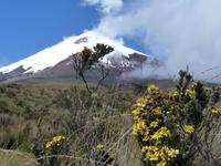 Cotopaxi Nationalpark