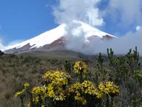Cotopaxi Nationalpark