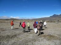 Wanderung am Cotopaxi in 3.800 Metern
