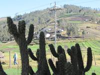 Fahrt auf der  Panamanicana nach Ingapirca