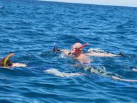 Schnorcheln an der Teufelsnase