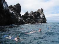 Schnorcheln an der Teufelsnase