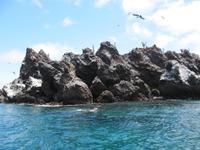 Schnorcheln an der Teufelsnase