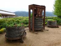 Historische Weinpresse