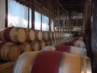 Jahrgangswein Altura