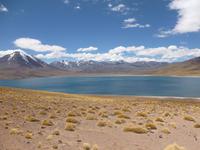 Lagune und Vulkan Miscanti