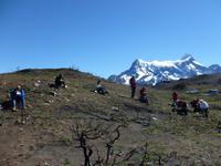 Picknick am Lago Pehoé 
