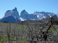 Wanderziel Paine-Massiv