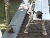 Rio de Janeiro in Brasilien