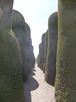 Friedhof von Punta Arenas