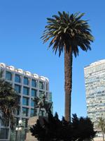 Stadtrundfahrt Montevideo - Plaza Indepencia