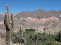 Bergwelt in der Region Jujuy