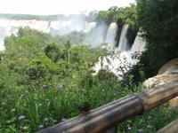 Iguazu Wasserfälle - auf der argentinischen Seite, Schmetterling im Vordergrund