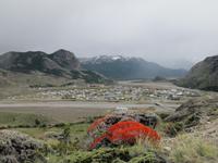 Patagonien - Blick auf El Chalten, rot blühend: Mata guanaco