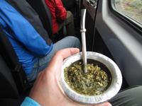Patagonien - Mate-Tee-Verkostung