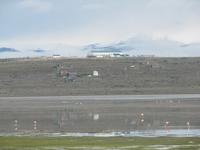 Patagonien - Laguna Nimez in El Calafate
