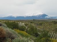 Patagonien - auf dem Weg zum Perito Moreno-Gletscher