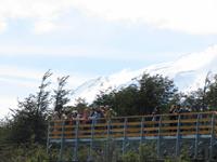 Patagonien - am Perito Moreno-Gletscher