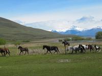 Patagonien - Estancia El Galpon del Glaciar