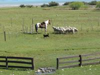 Patagonien - Estancia El Galpon del Glaciar