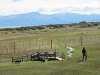 Patagonien - Estancia El Galpon del Glaciar