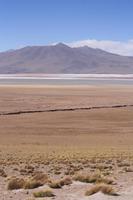Laguna Colorada, Bolivien