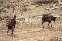 Campesino auf dem Weg zum Markt in Tarabuco