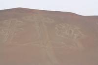 Islas Ballestas/ Parque Reservas Paracas, Peru