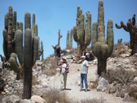 Besuch Pukara de Tilcara