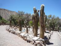 Besuch Pukara de Tilcara