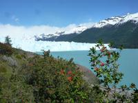 Perito Moreno-Gletscher