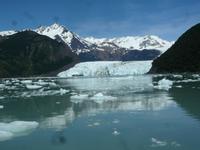 Spegazzini-Gletscher