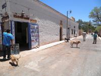 San Pedro de Atacama