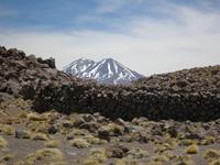 Lagunen Miniques und Miscanti