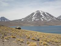 Lagunen Miniques und Miscanti